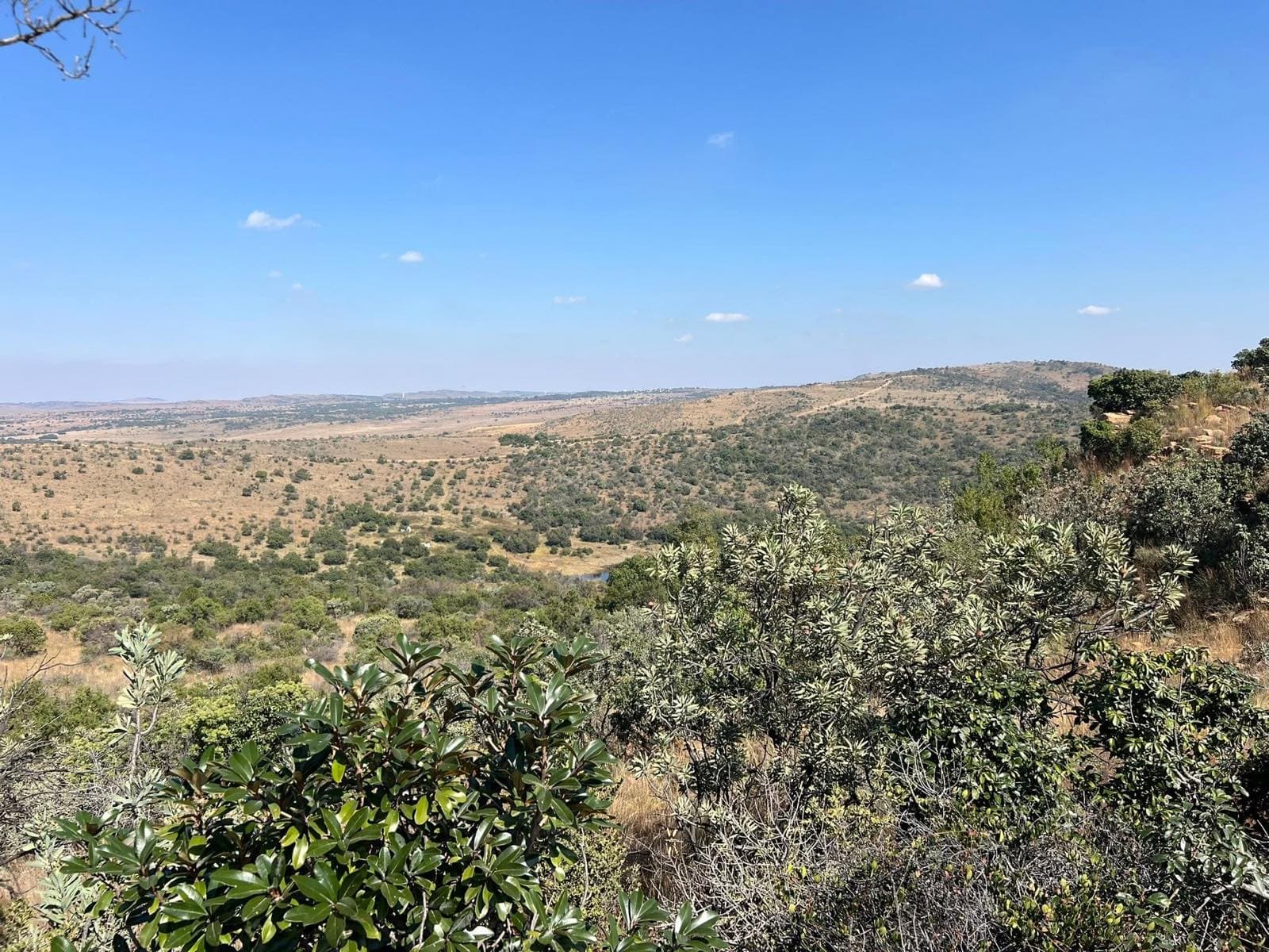 View across the valley from the top of the course